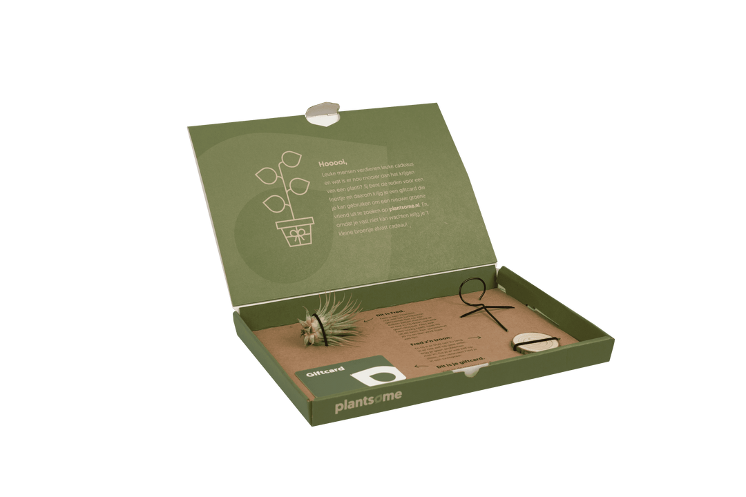 Giftbox van Plantsome