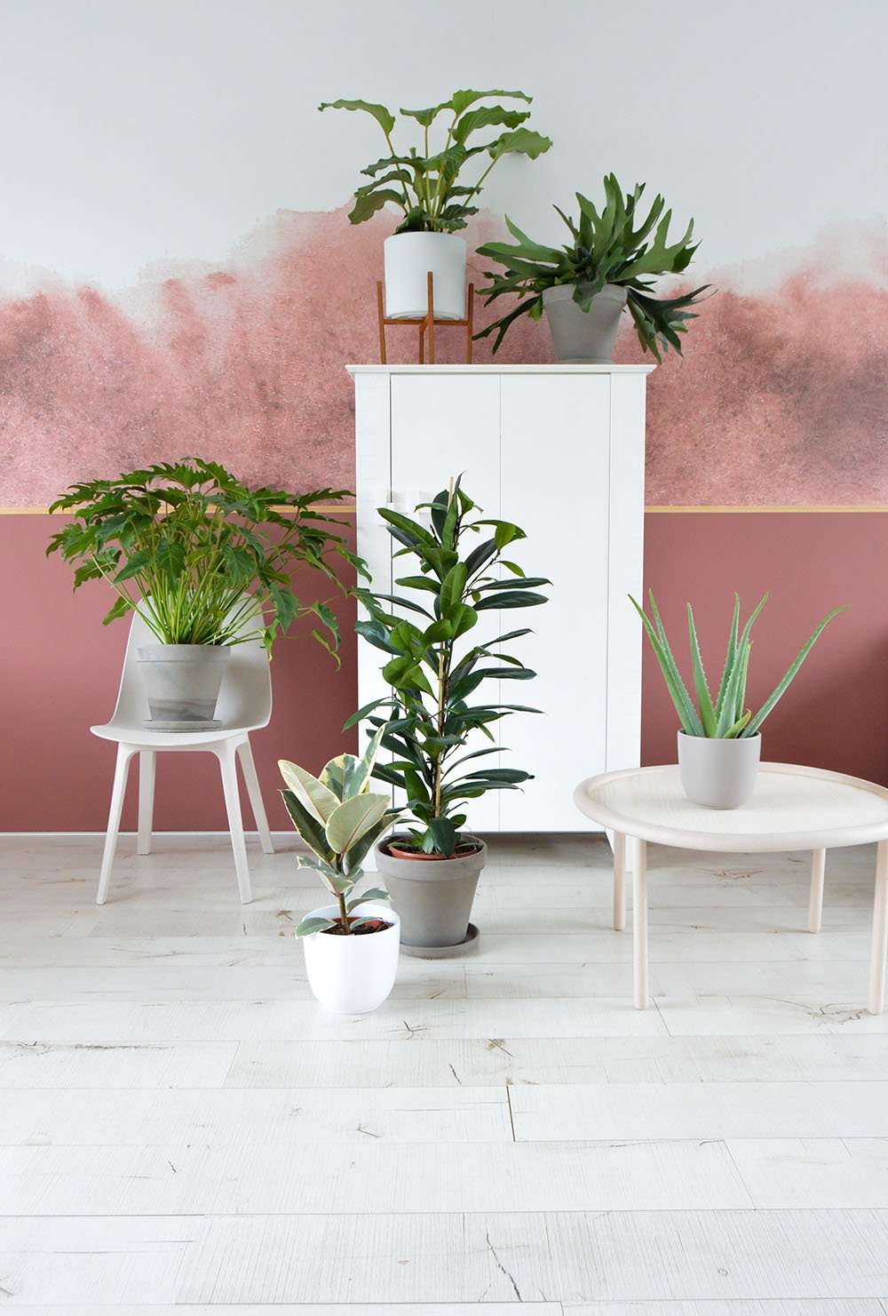 inspiratie